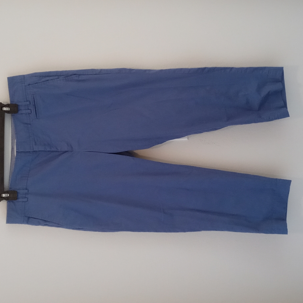 Banana Republic Capri pants